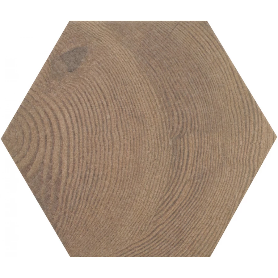 Керамогранит Equipe Hexawood Old 21630 20х17,5 см