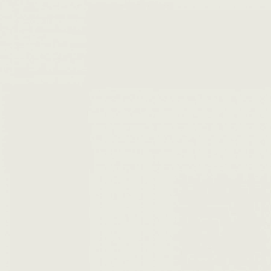 Керамогранит Dako Monocolor ректификат E-110/MR/600x600x9 60х60 см