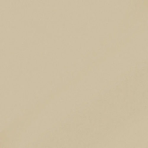 Керамогранит Керамика Будущего Моноколор Грес U100PR 60x60 см