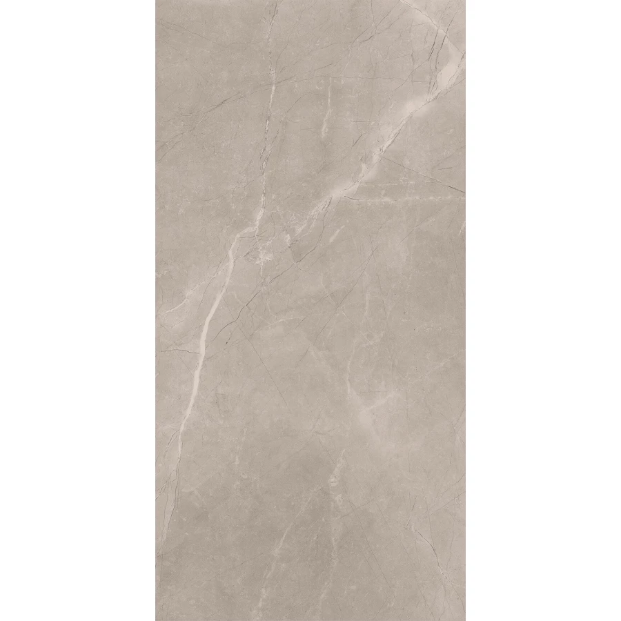 Керамогранит Baldocer Bayona Silver Natural матовый серый 120х60 см