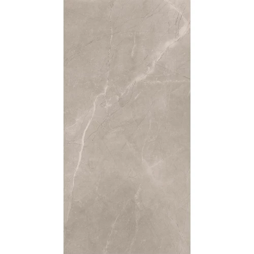 Керамогранит Baldocer Bayona Silver Natural матовый серый 120х60 см