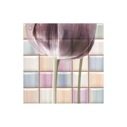 Декор Rocersa Magik Decorado Frame С Mix RCS000062 31.6х31.6 см