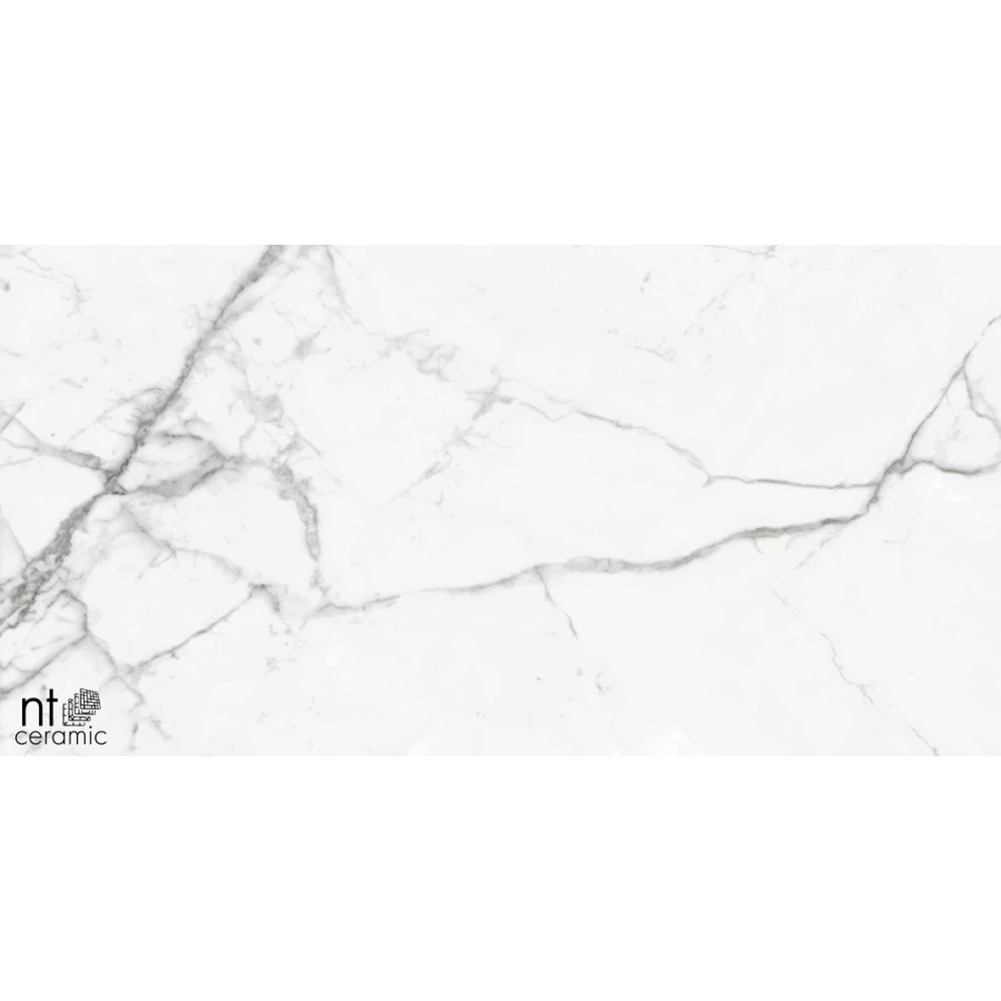 Керамогранит NT Ceramic Bright and Shiny NTT9100 Полированный BB612NTT9100P 120х60 см