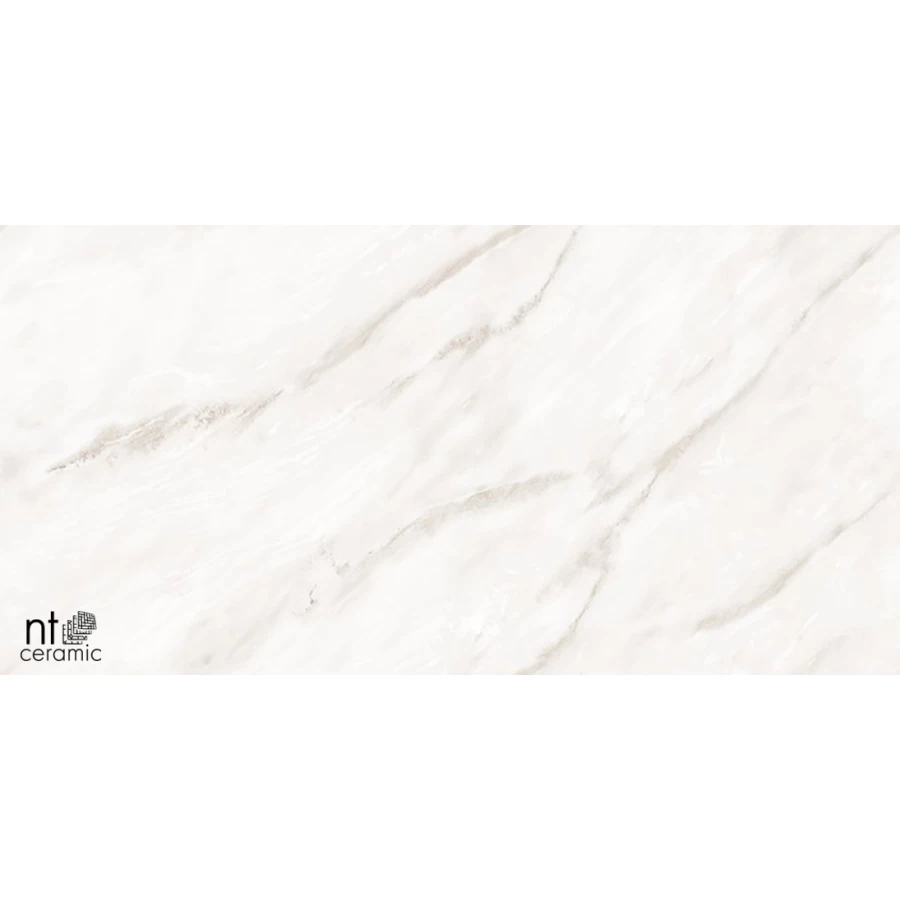 Керамогранит NT Ceramic Marmo Empire Pearl Endless Полированный NTT99525P 120х60 см