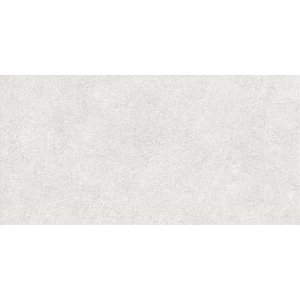 Плитка облицовочная Alma Ceramica Дискавер / Discover глянцевая серая 11 шт в уп TWU2550DCV04 50х24,9 см