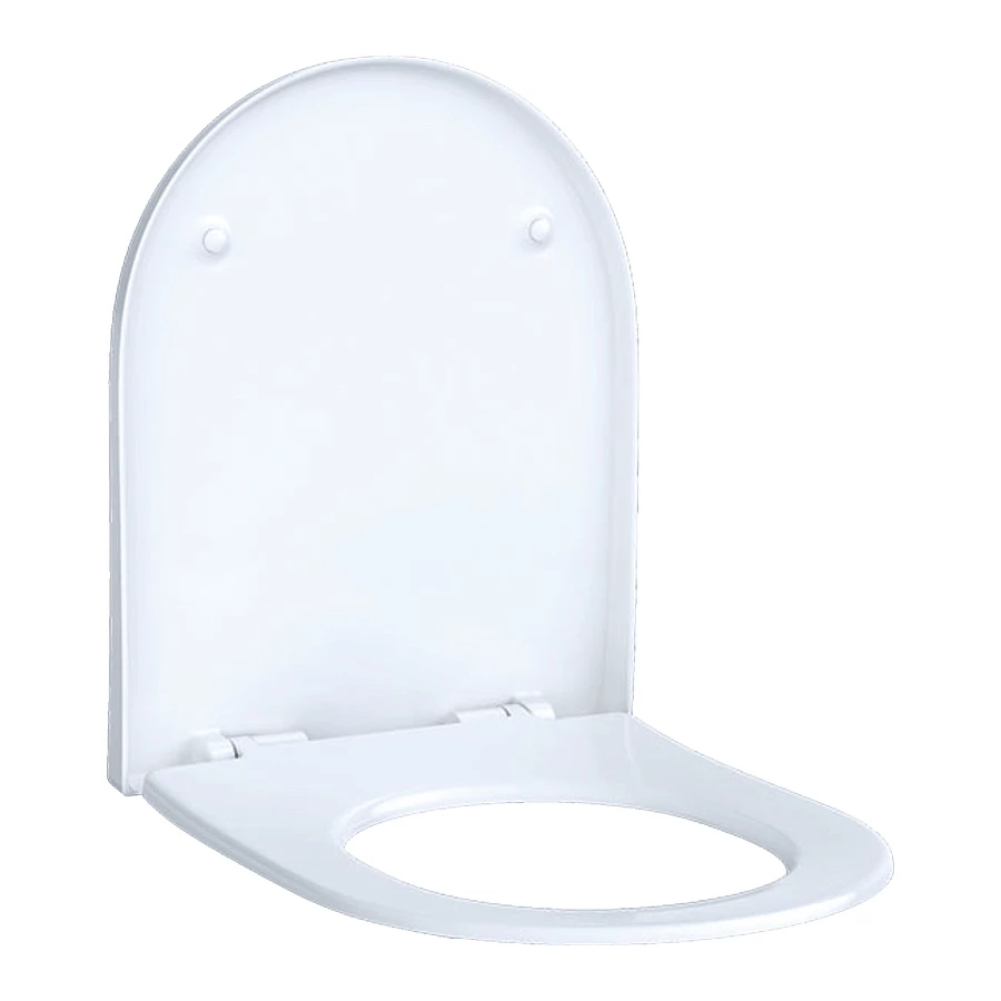 Крышка-сиденье для унитаза Geberit Acanto 500.604.01.2