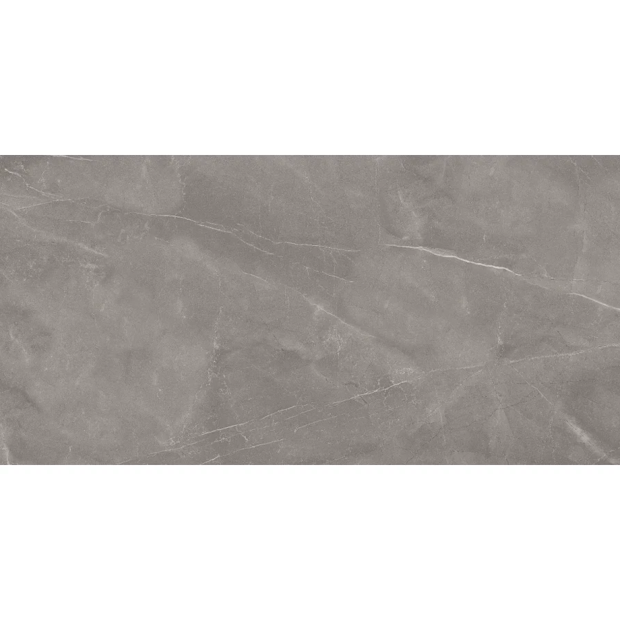 Керамогранит Artceramic Armani Gris Glossy 120x60 см