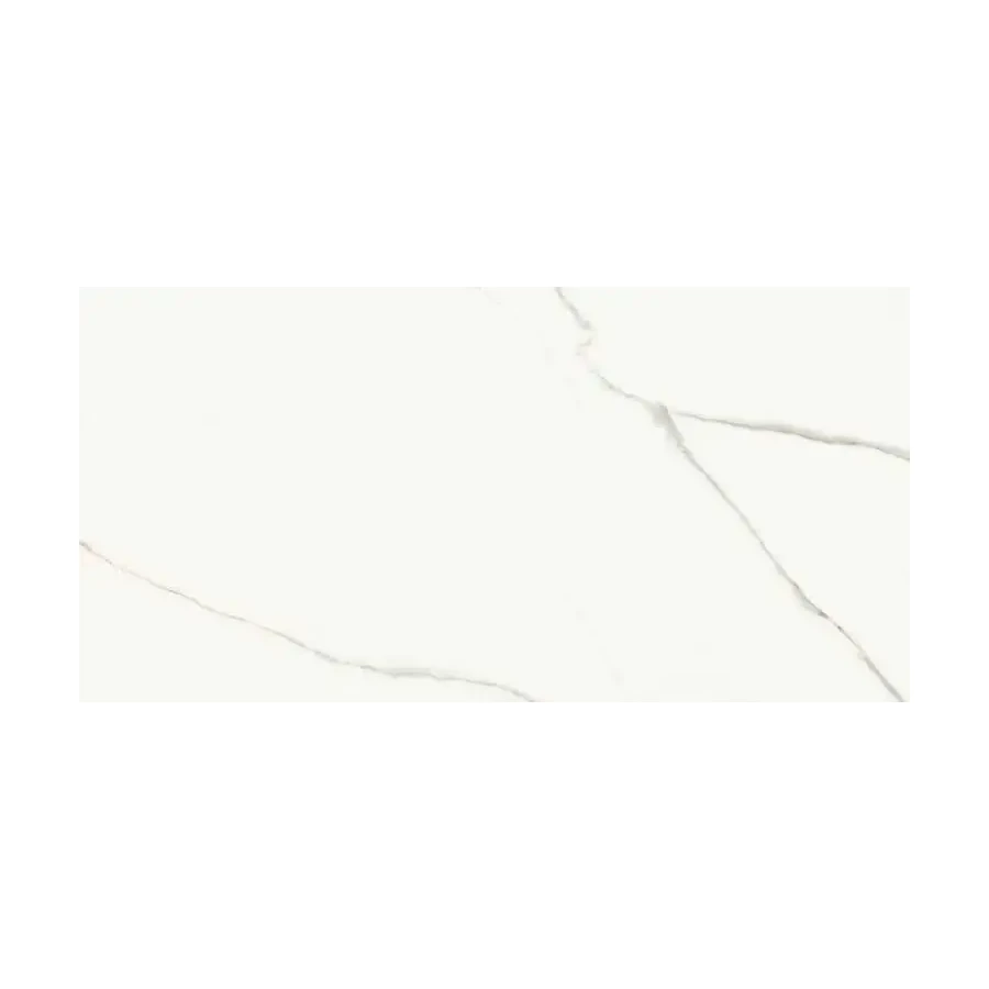 Керамогранит Lafaenza Aesthetica AE EXT6 12 LP глянцевый белый 120х60 см