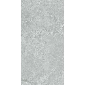Керамогранит Stn ceramica Charisma P E 3DB grey mt rect 120х60 см