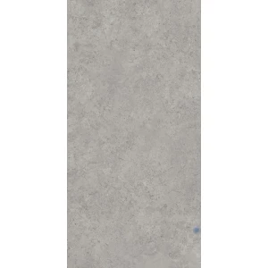 Керамогранит Kerama Marazzi Про Лаймстоун АТ матовый серый DD590600R 238,5х119,5 см