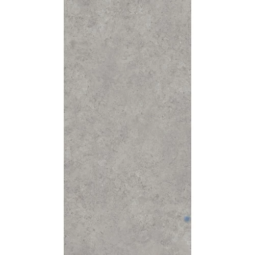 Керамогранит Kerama Marazzi Про Лаймстоун АТ матовый серый DD590600R 238,5х119,5 см