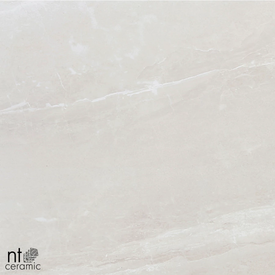 Керамогранит NT Ceramic Zeus NTT9702 Матовый ZS6NTT9702M 60х60 см