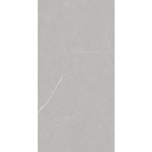 Керамогранит Primavera Фенгари / Fengari матовый серый TP612M002 120x60 см