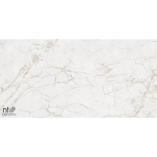 Керамогранит NT Ceramic Marmo Impero Grey Carving Карвинг NTT99519M 120х60 см