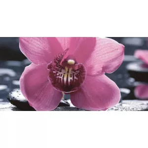Декор Valentto Релакс камень-цветок 01-1-10-04-04-162-1 25*50