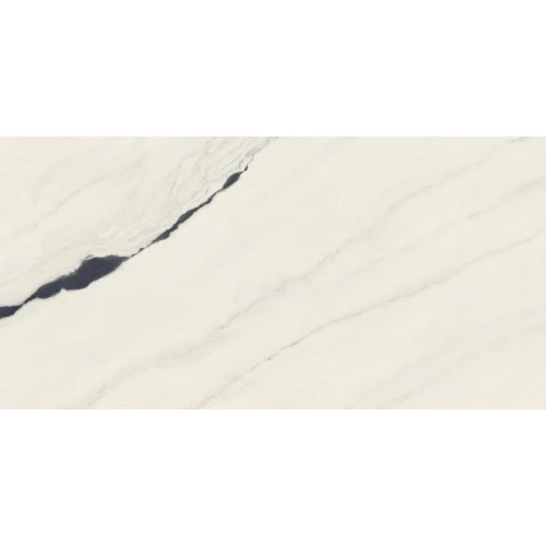 Керамогранит Atlas Concorde Forte Dei Marmi Panda White Rett Cer 610015000656 120x60 см