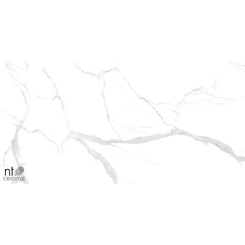 Керамогранит NT Ceramic Marmo Statuario Ultra White Полированный NTT99512M 120х60 см