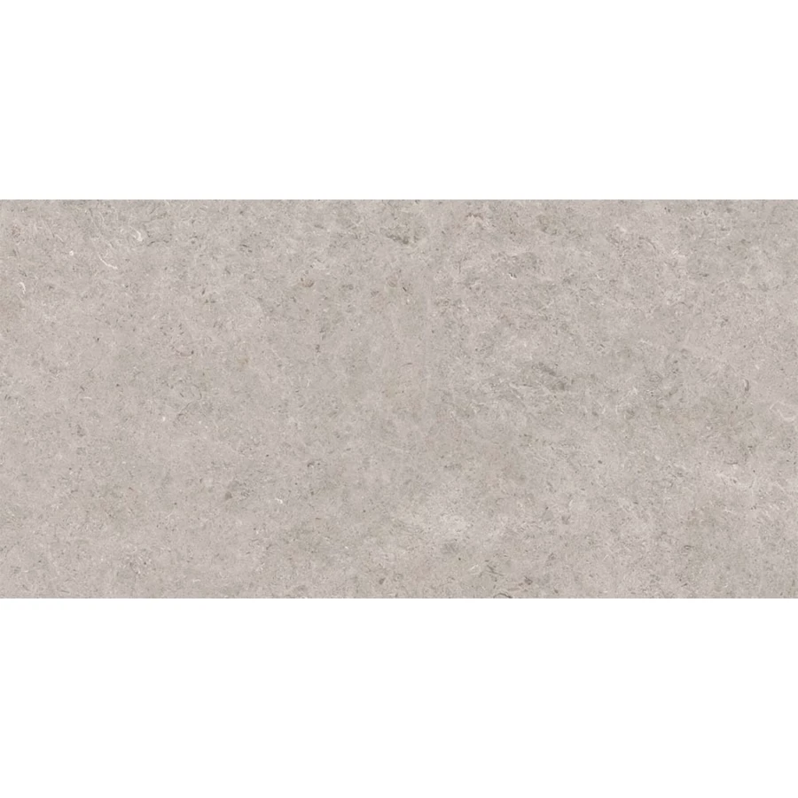 Керамогранит Gravita Seashell Natural R10 Carving серый 120х60 см