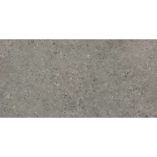 Керамогранит Living Ceramics Bera&Beren Dark Grey Natural матовый серый LV10424 120х60 см