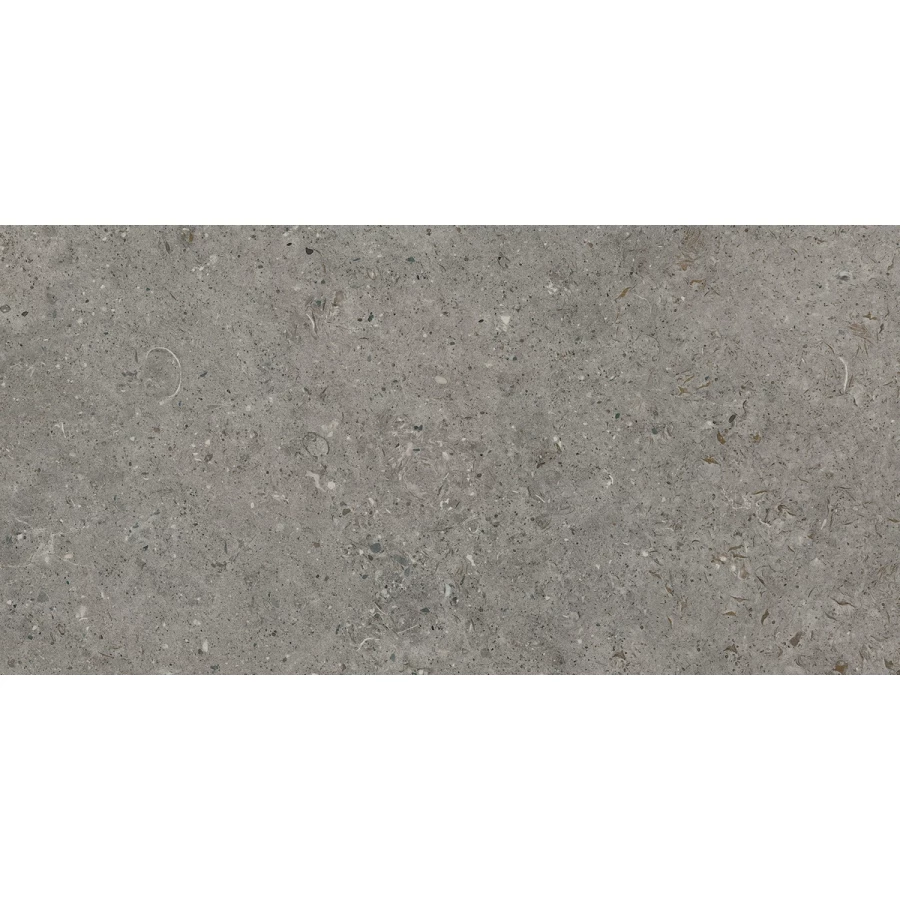 Керамогранит Living Ceramics Bera&Beren Dark Grey Natural матовый серый LV10424 120х60 см