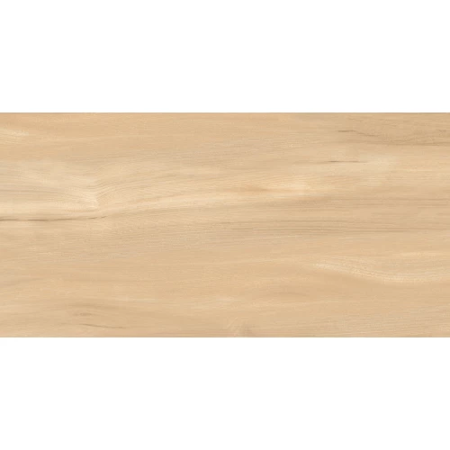 Керамогранит Artkera Group Goa Bronze матовый бежевый GP36GOA31 60х30 см