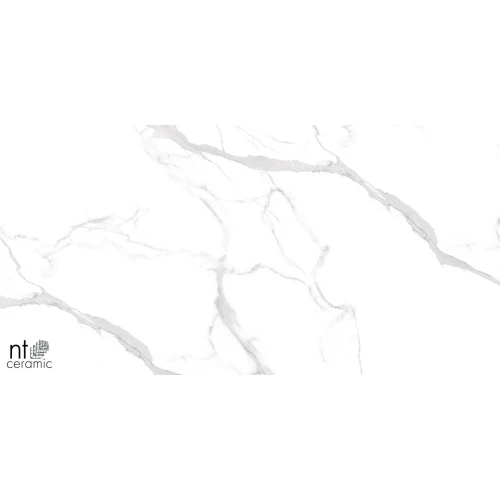 Керамогранит NT Ceramic Marmo Statuario Ultra White Полированный NTT99512M 120х60 см