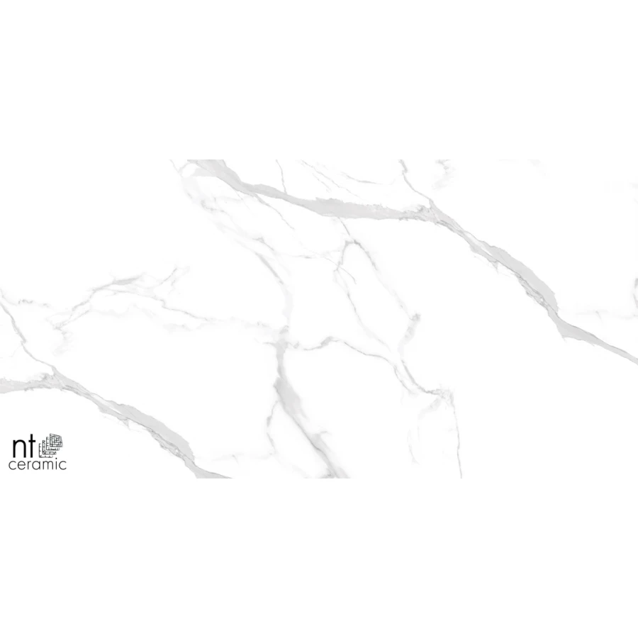 Керамогранит NT Ceramic Marmo Statuario Ultra White Полированный NTT99512M 120х60 см