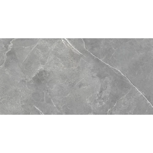 Керамогранит Eurotile Ceramica Rubis полированный серый 7930138705566 120x60 см