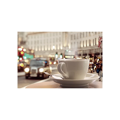 Декор Муза-Керамика D2 Travel cup D2D249 30х20