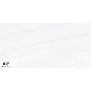 Керамогранит NT Ceramic Aurora NTT9801 Полированный AU612NTT9801P 120х60 см
