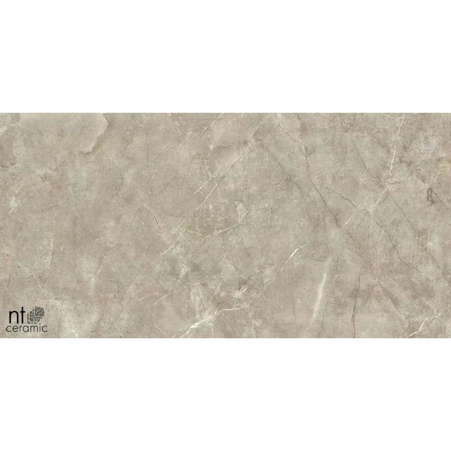 Керамогранит NT Ceramic Quanta Grey NTT9021 Лаппатированный NS612NTT9021L 120х60 см