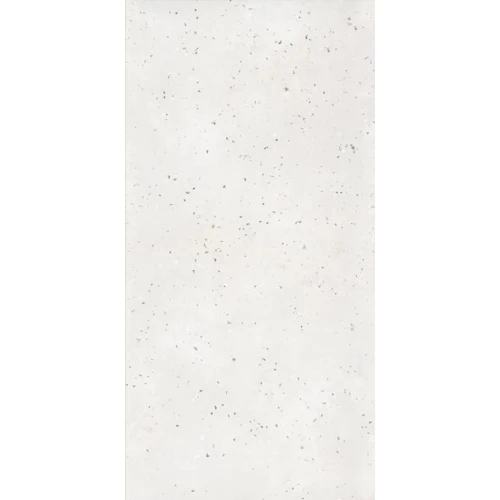 Керамогранит ProGRES Bianco Terrazzo матовый белый PRO 0273M 120х60 см