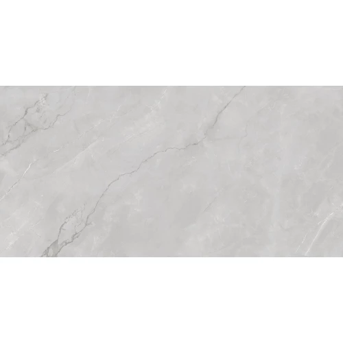 Керамогранит Infinity Ceramic Astonia Silver Glossy Silver Line 120х60 см
