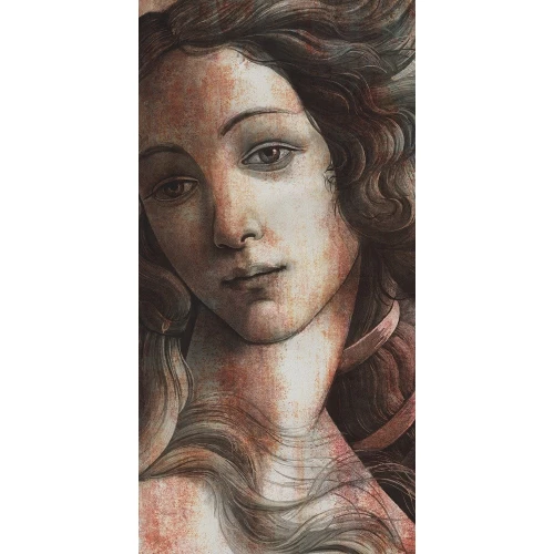 Керамогранит Kerama Marazzi Давид и Венера Ковер матовый коричневый VT\A563\SG5918R 238,5х119,5 см