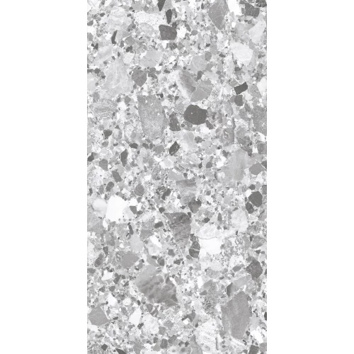 Керамогранит Creanza Terragona Silver Solido матовый с микрогранулами серый SL1004-A 120х60 см