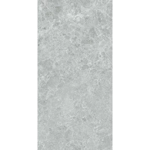 Керамогранит Stn ceramica Charisma P E 3DB grey mt rect 120х60 см
