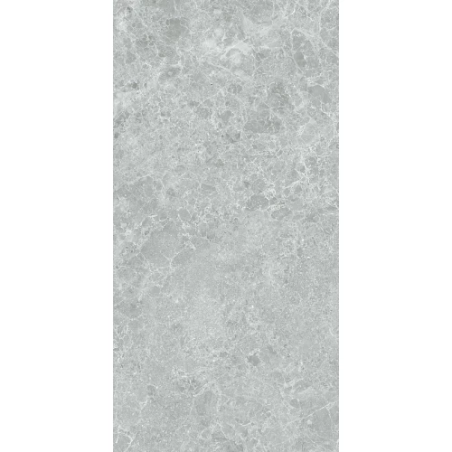 Керамогранит Stn ceramica Charisma P E 3DB grey mt rect 120х60 см