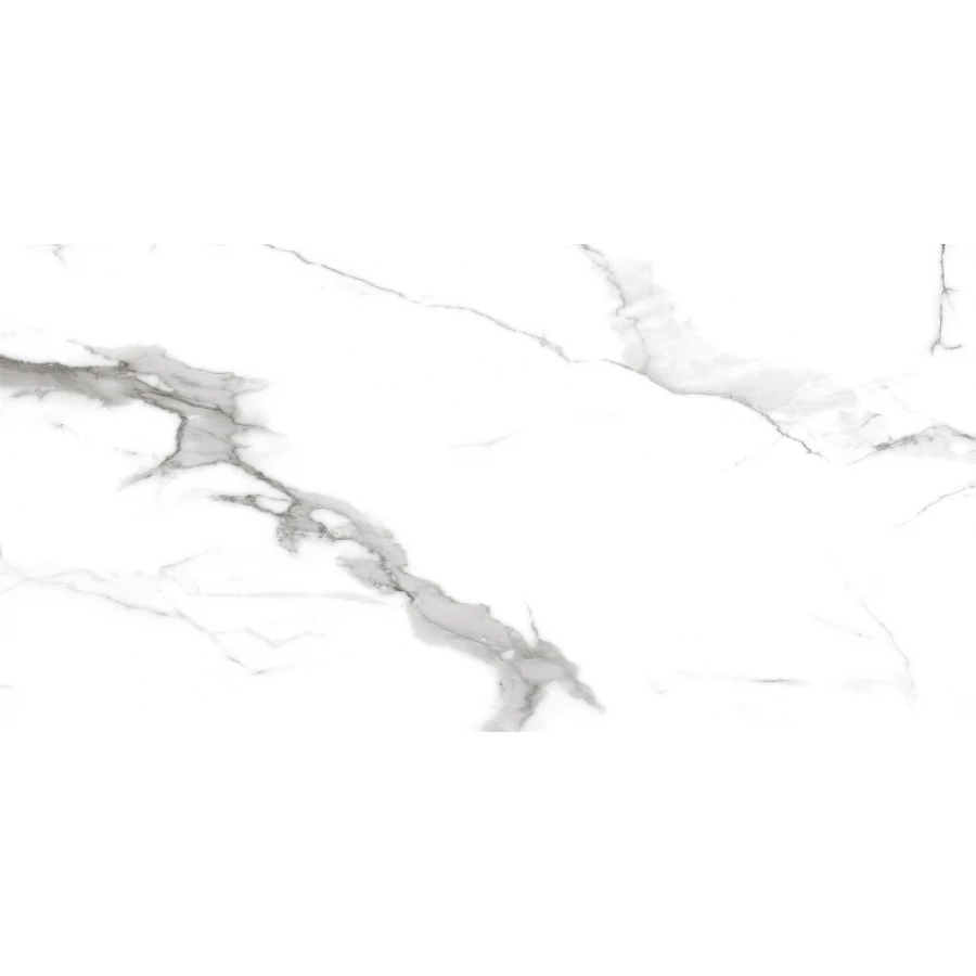 Керамогранит Royce Segesta Grey Matt 1,44 м2 R_NR2002 120х60 см