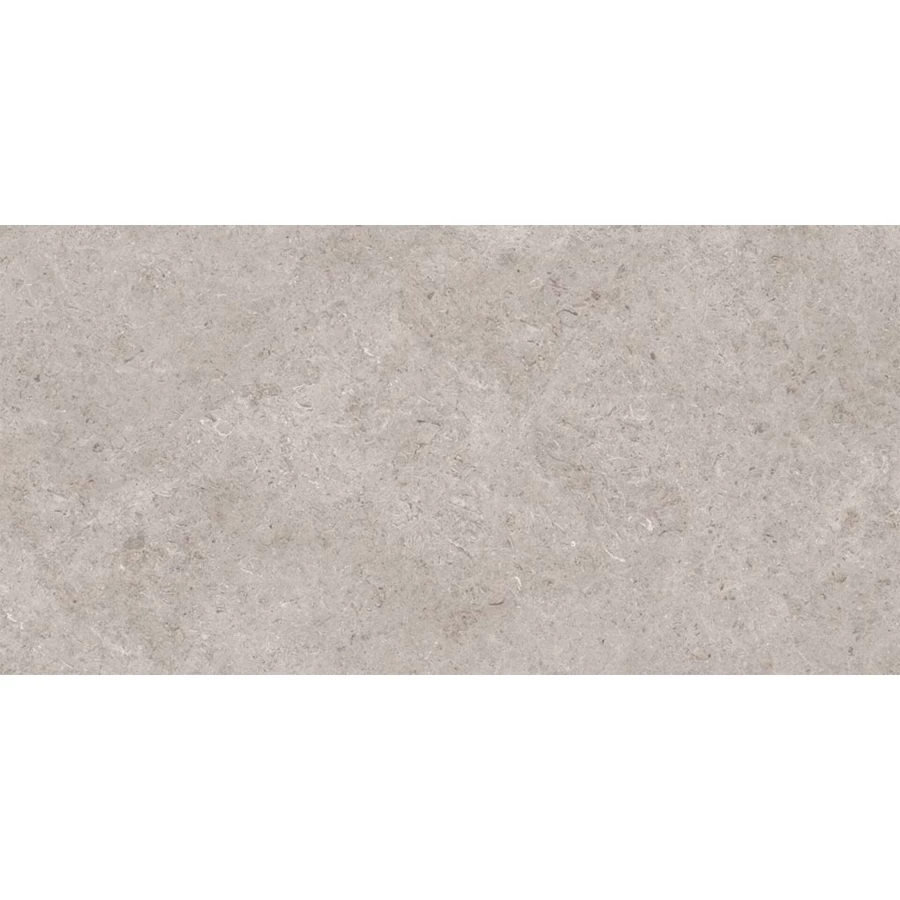 Керамогранит Gravita Seashell Natural R10 Carving серый 120х60 см