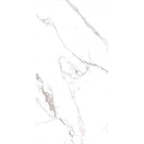 Керамогранит A-Ceramica Statuario Plus Silk 9 mm полуматовый белый 120х60 см