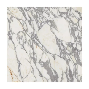 Керамогранит Ariana Ceramica Epoque 21 Arabescato Lapp 3d Ret PF60009346 60х60 см