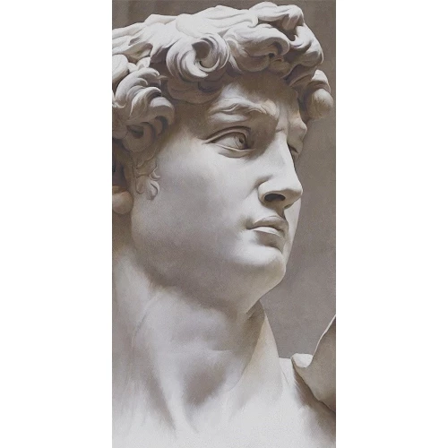 Керамогранит Kerama Marazzi Давид и Венера 2 Ковер матовый серый VT\B564\SG5918R 238,5х119,5 см