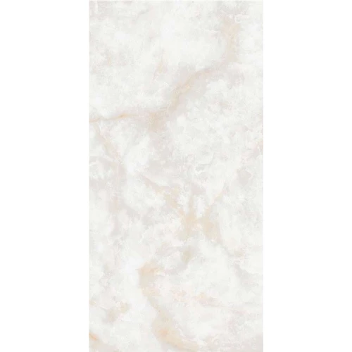 Керамогранит NT Ceramic Atlas Wide Li Susu Dragon глянцевый серый NTT3019P 240х120 см