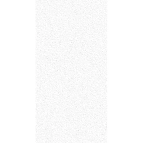 Керамогранит StaroSlabs Monocolors White Texture белый 66931441 320х160 см