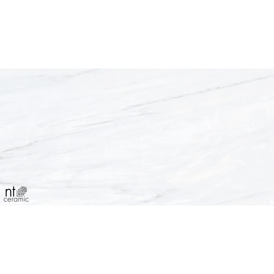 Керамогранит NT Ceramic Aurora NTT9801 Полированный AU612NTT9801P 120х60 см