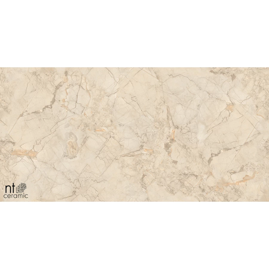 Керамогранит NT Ceramic Marmo Ivory Endless Матовый NTT99515M 120х60 см