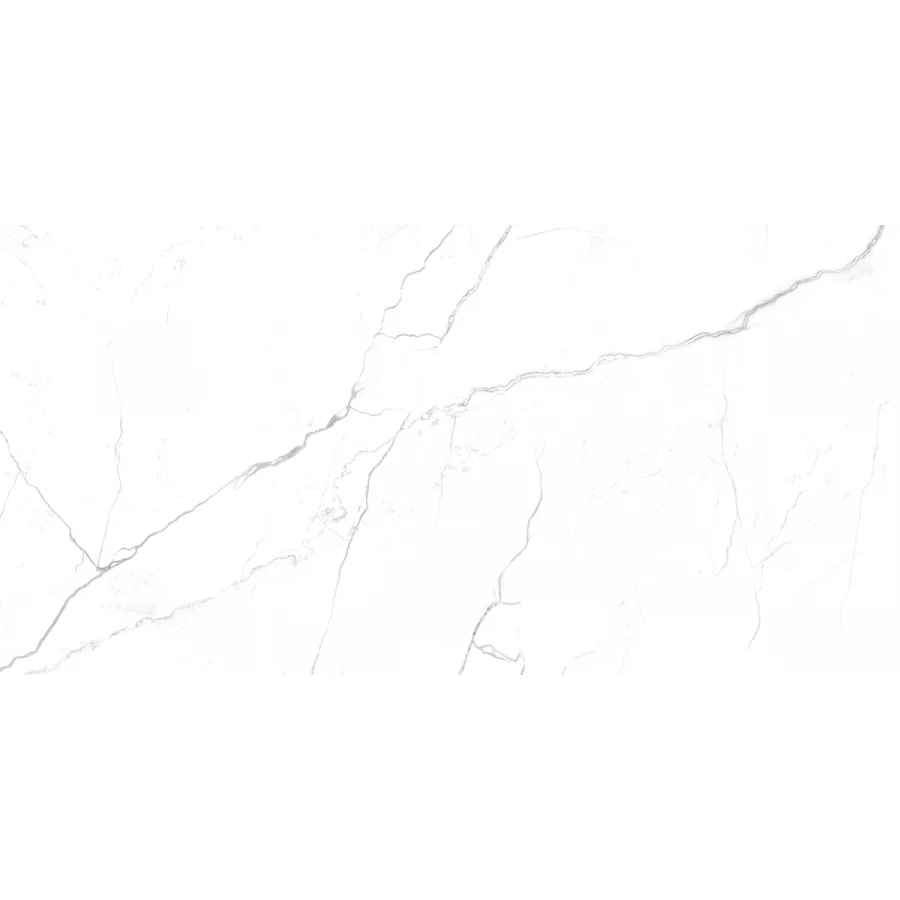 Керамогранит Гранитея Нейва Элегант матовый MR G391 120х60 см