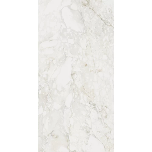 Керамический гранит Century Medley prince mol ret 137256 120х60 см