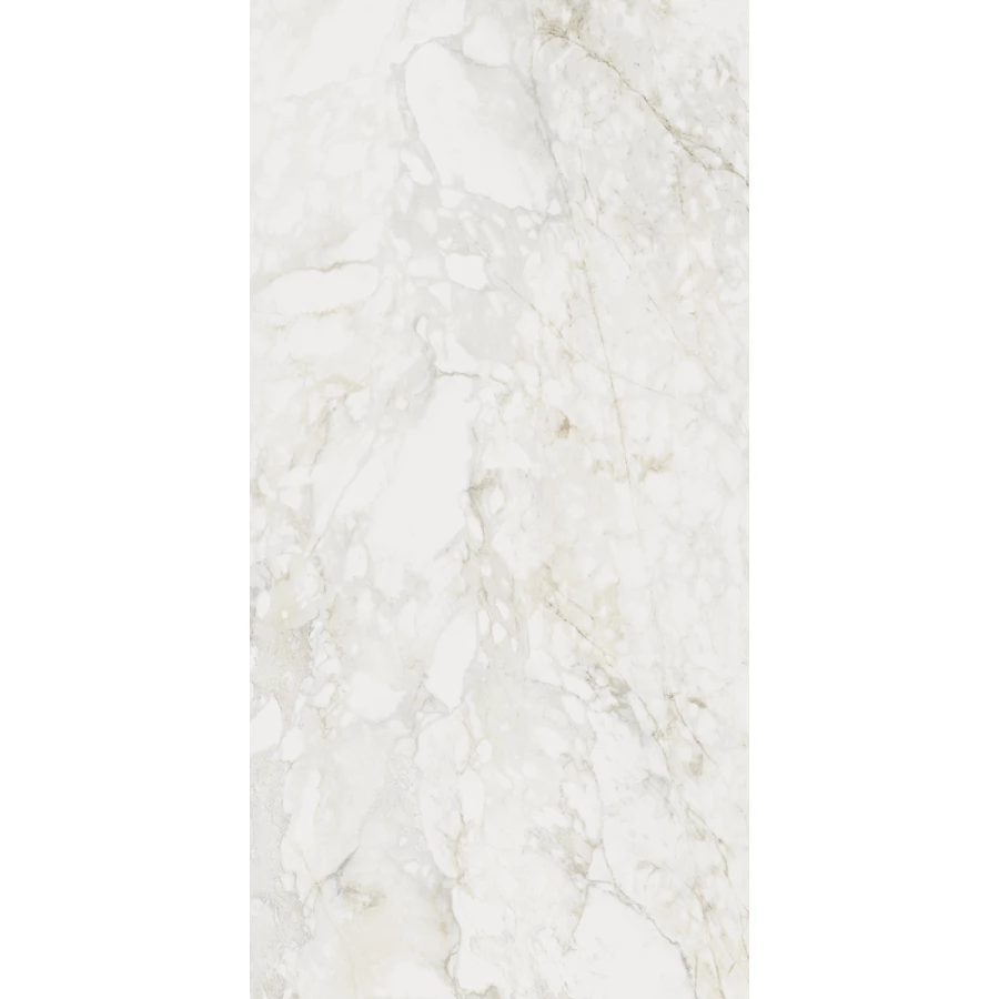 Керамический гранит Century Medley prince mol ret 137256 120х60 см