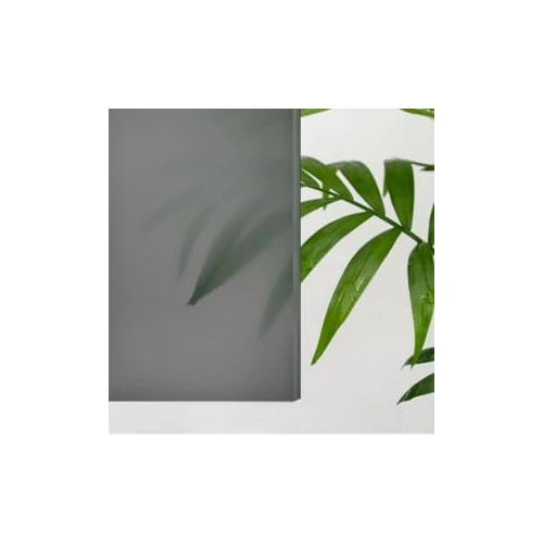 Душевой уголок RGW CL-56 Тонированное 06095699-31 90х90 см